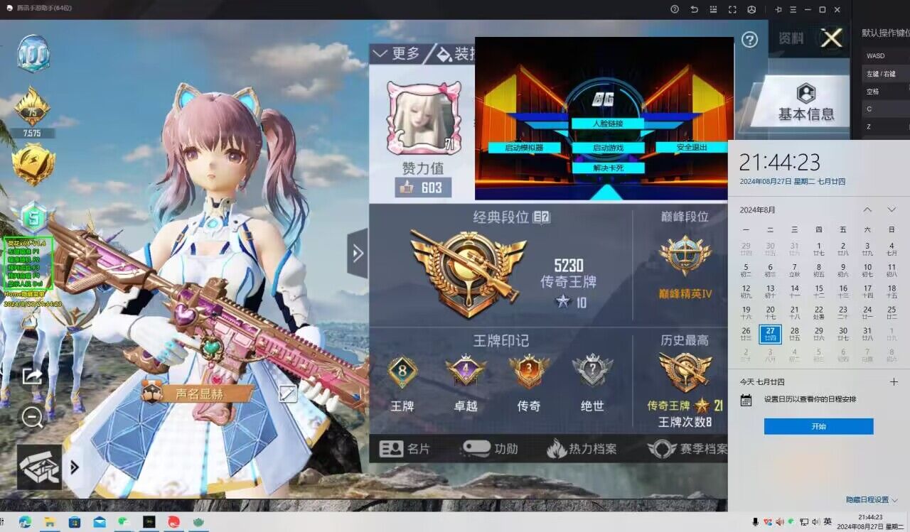 和平精英DDYS辅助