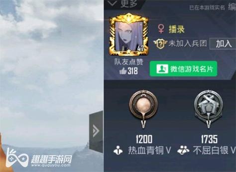 和平精英最新插件辅助【呵呵】上市 支持射速增加4倍功能